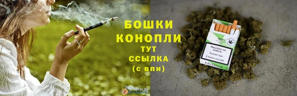 спиды Рославль