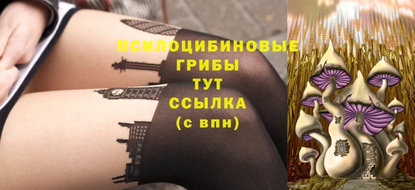 2c-b Елизово
