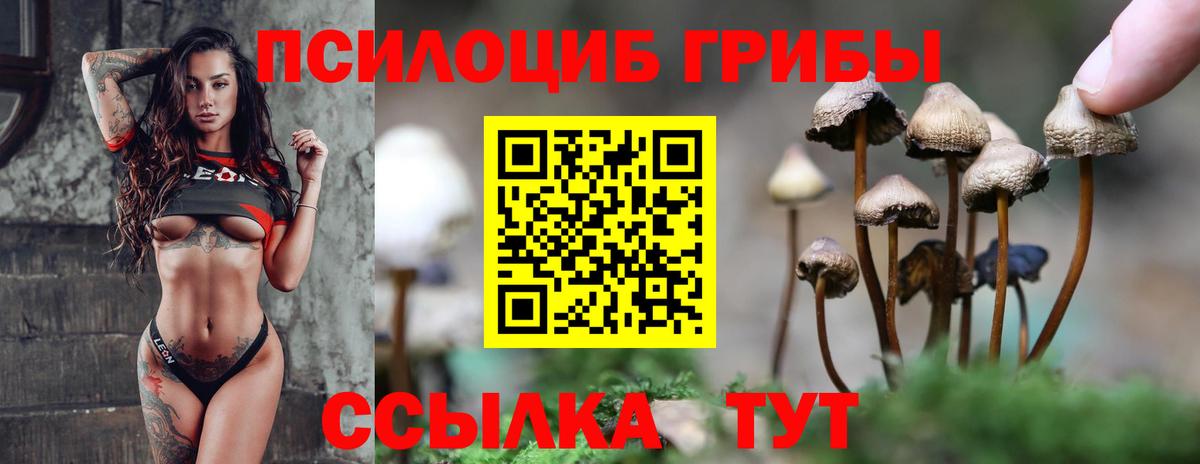 Псилоцибиновые грибы Psilocybine cubensis  Вход с VPN  продажа наркотиков  Псилоцибиновые грибы мицелий  Кондопога 